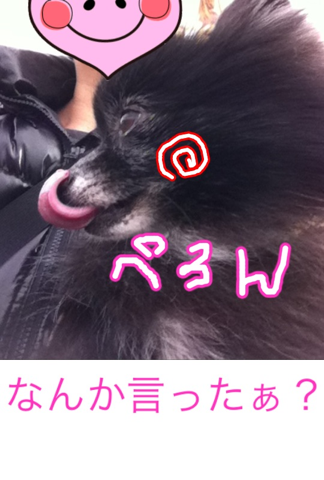 image-20120229181122.png