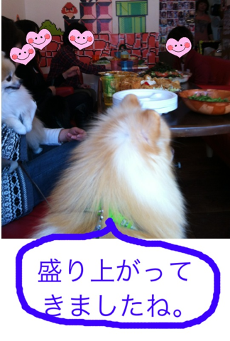image-20120304183542.png