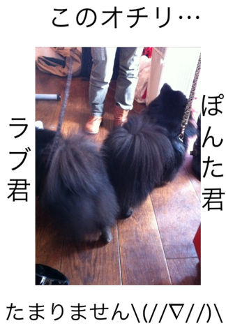 image-20120304183629.png