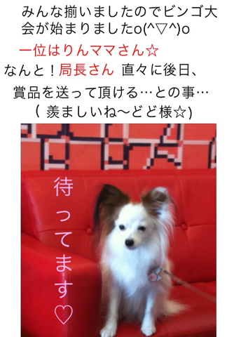 image-20120304183648.png