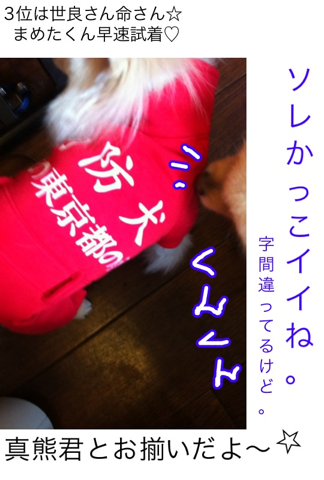 image-20120304183733.png