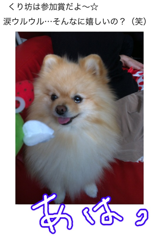 image-20120304183752.png