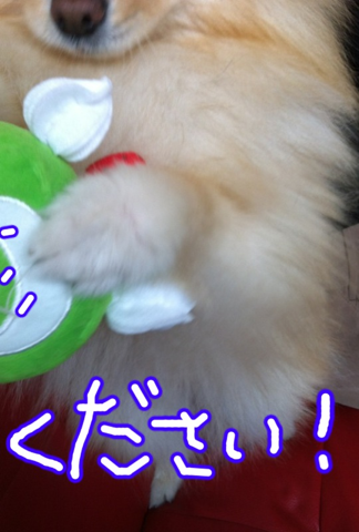 image-20120304183805.png