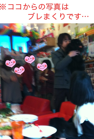 image-20120304184318.png
