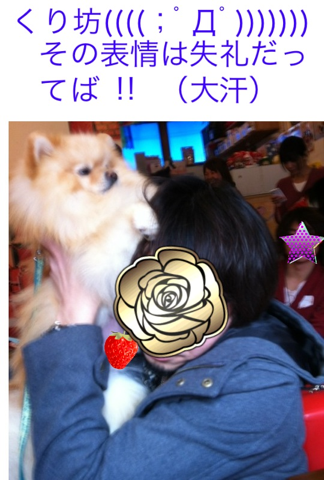 image-20120304184612.png