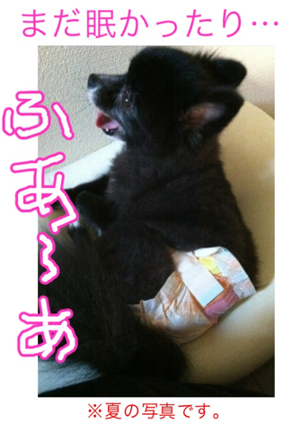 image-20120307191412.png