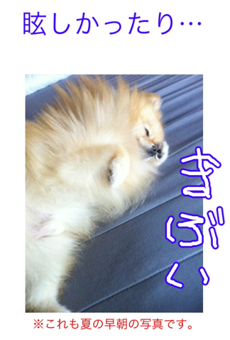 image-20120307191433.png