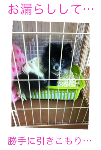 image-20120307191457.png