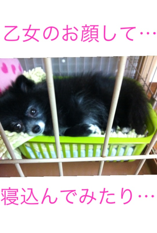 image-20120307191518.png
