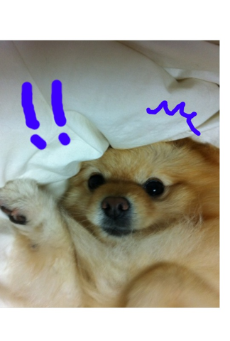 image-20120307191540.png