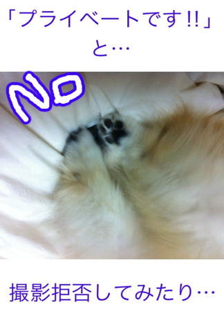 image-20120307191600.png