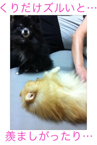 image-20120307191623.png