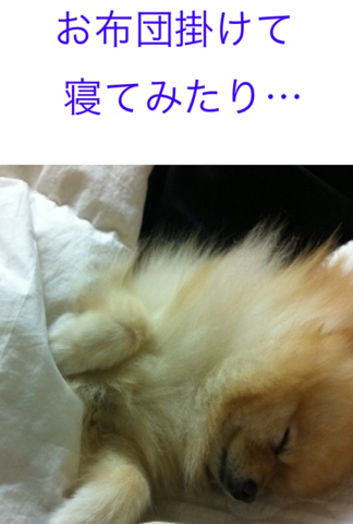 image-20120307191658.png