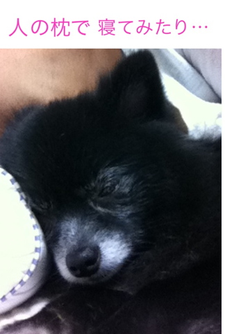image-20120307191724.png