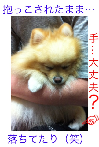 image-20120307191919.png