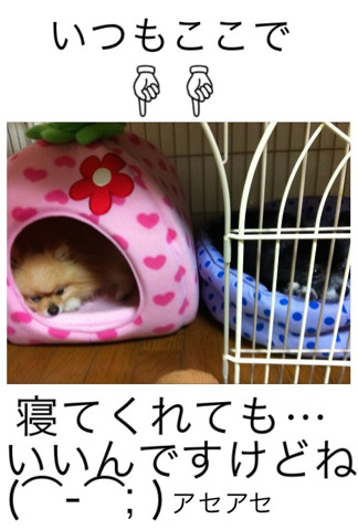 image-20120307191952.png