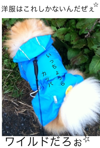 image-20120324211149.png