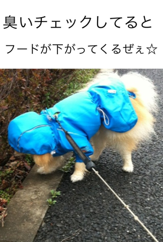 image-20120324211226.png